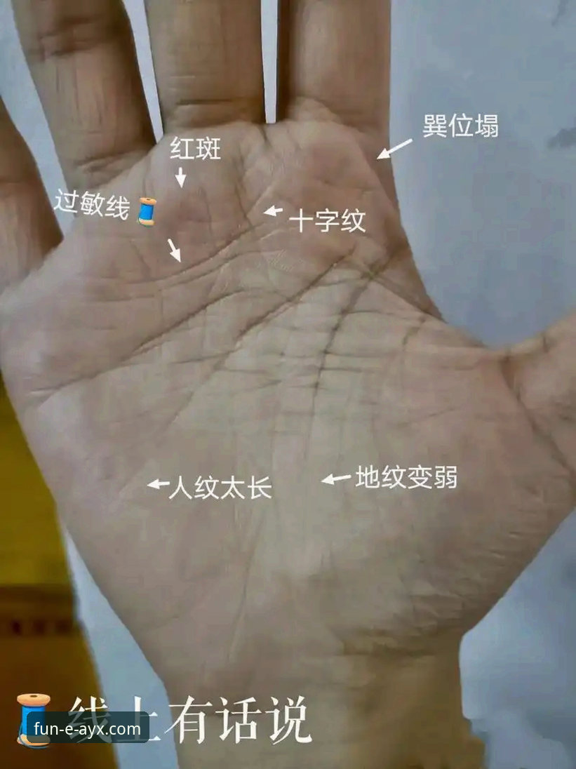 AYX爱游戏靠谱吗怎么样 实战派老手深度解析:AYX爱游戏平台靠谱吗怎么样?我的真实使用心得